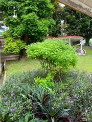 Blk 12 Bukit Ho Swee View (Bukit Merah), HDB 3 Rooms #580234471